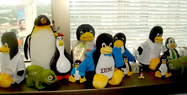 Pinguins na IBM