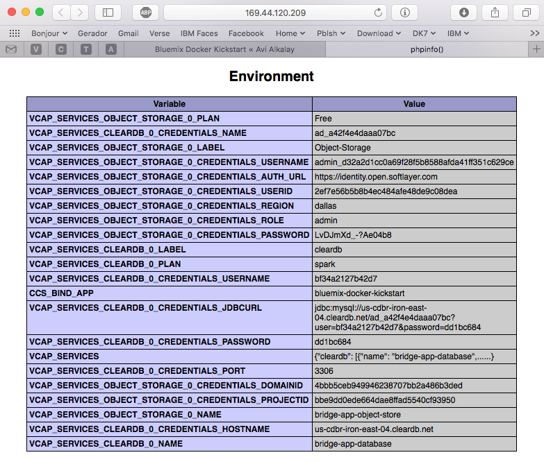 Bluemix VCAP_SERVICES as seen by a Docker container